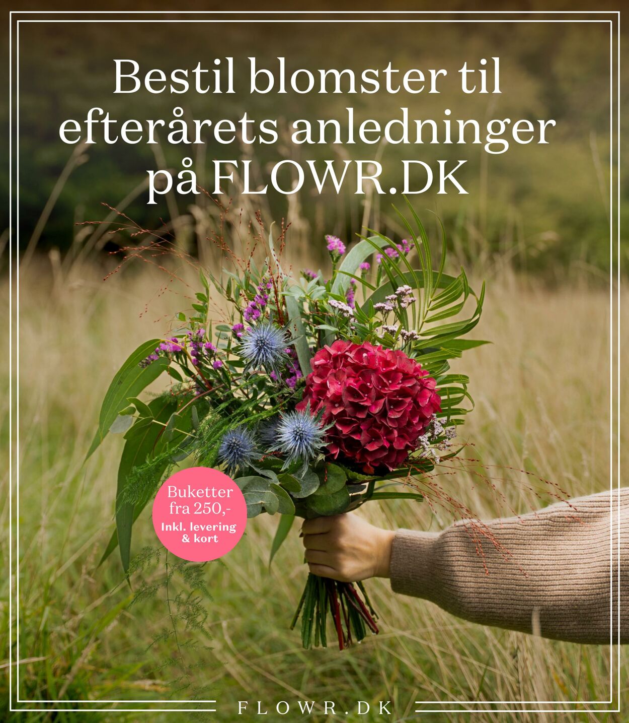 Tilbud Bilka 19.09.2025 - 25.09.2025
