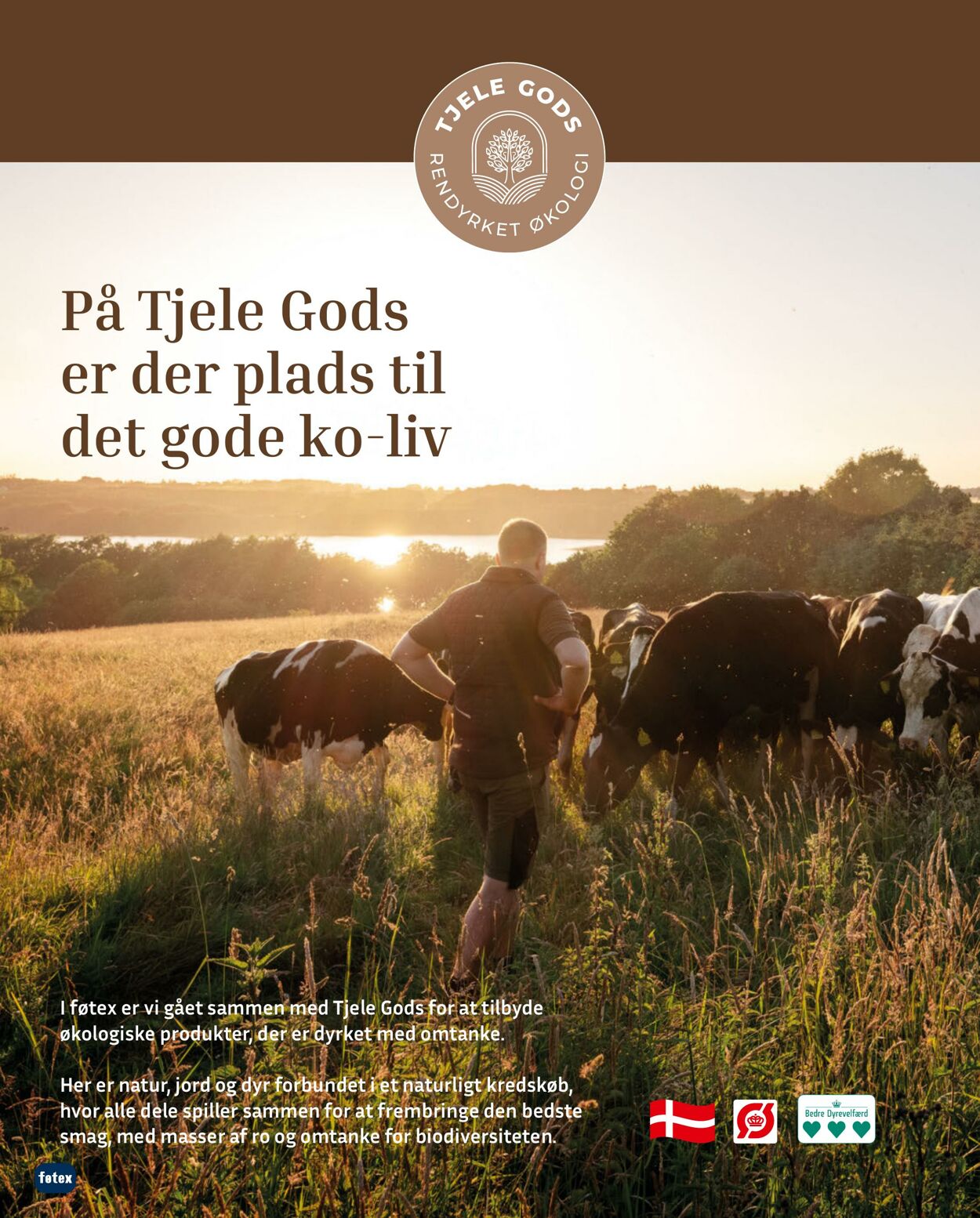 Tilbud føtex 17.10.2025 - 30.10.2025