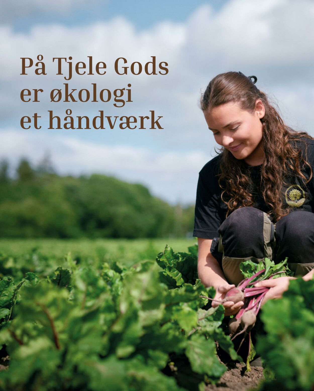 Tilbud føtex 17.10.2025 - 30.10.2025