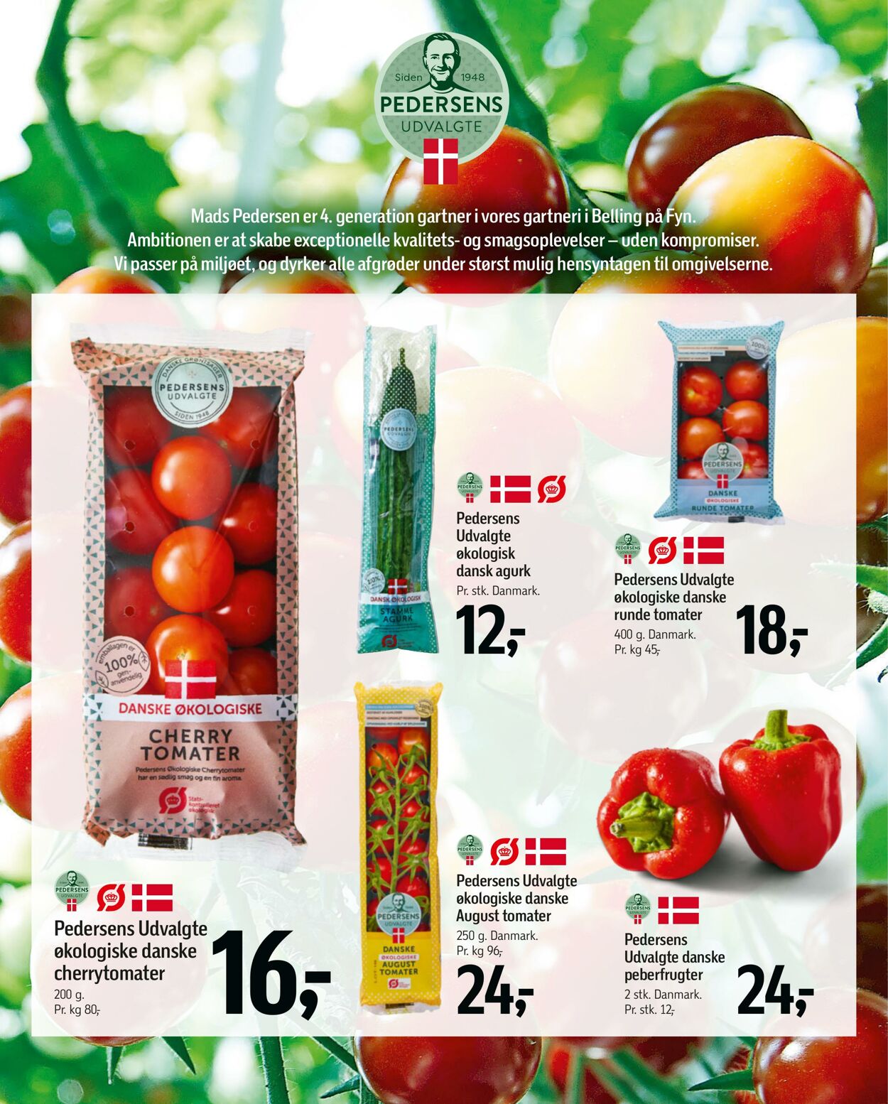 Tilbud føtex 13.06.2025 - 26.06.2025
