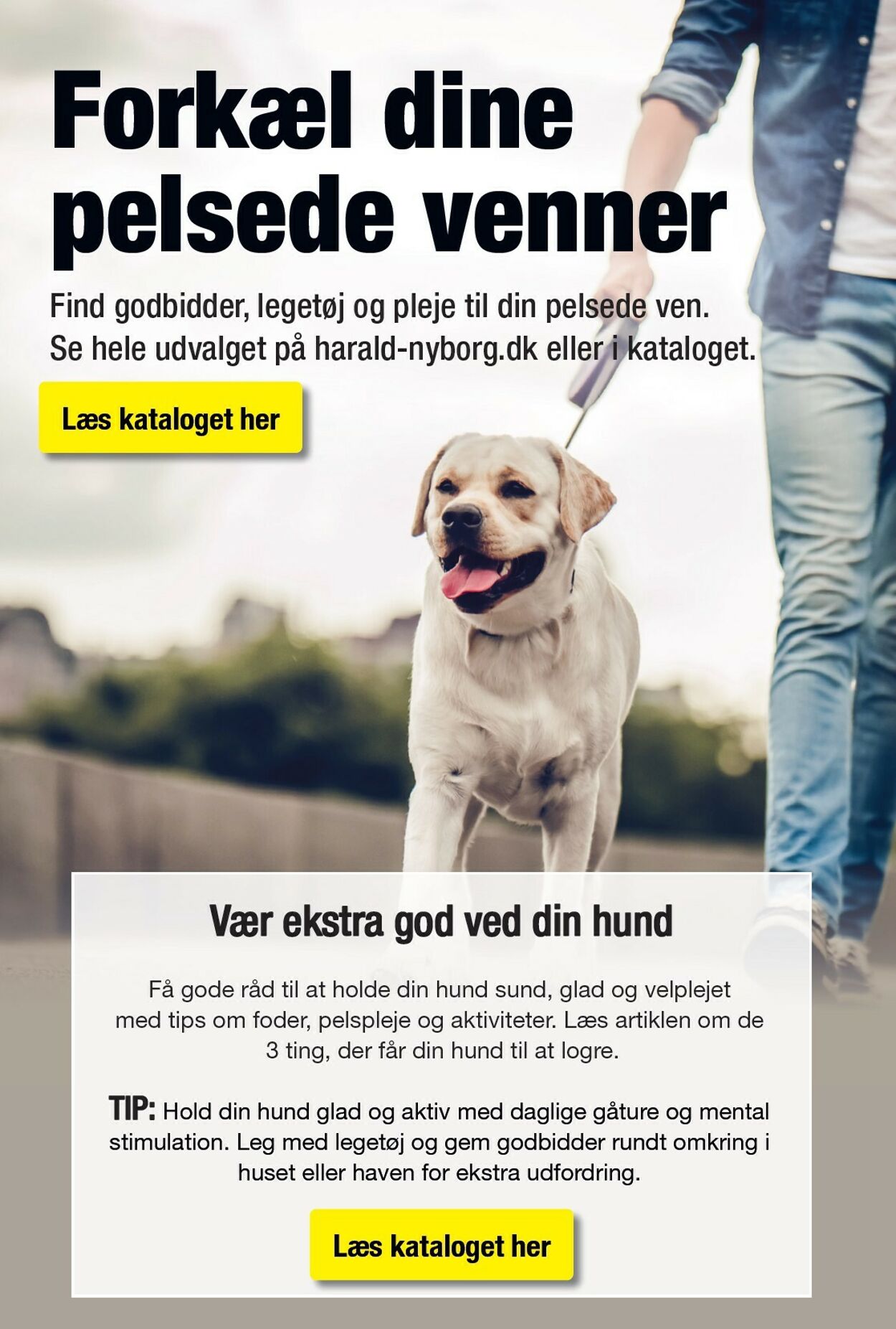 Tilbud Harald Nyborg 17.07.2025 - 23.07.2025