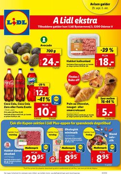 Tilbud Lidl 22.06.2024 - 29.06.2024