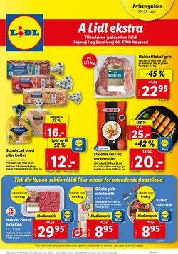 Tilbud Lidl 14.09.2024 - 21.09.2024