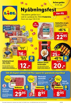 Tilbud Lidl 24.08.2024 - 31.08.2024