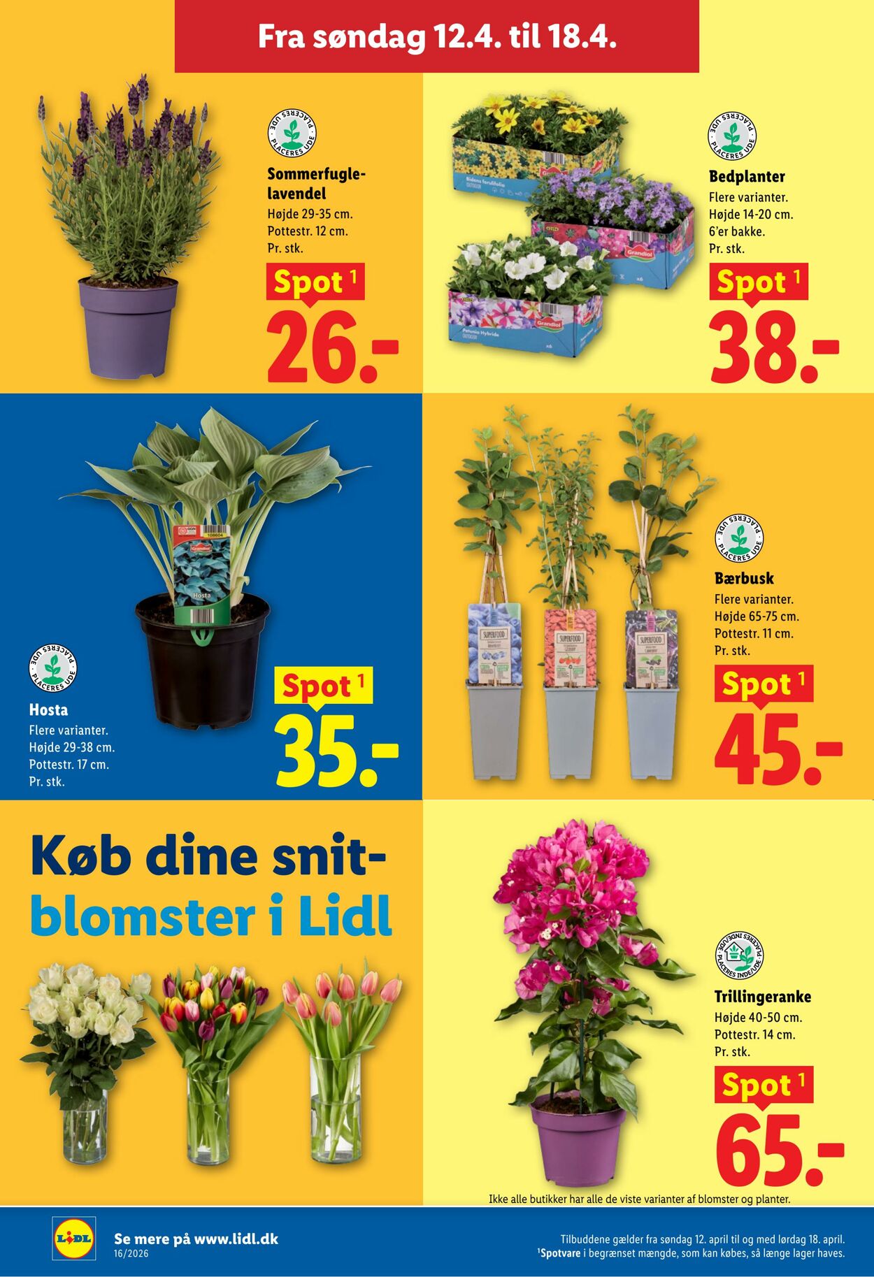 Tilbud Lidl 11.04.2026 - 18.04.2026