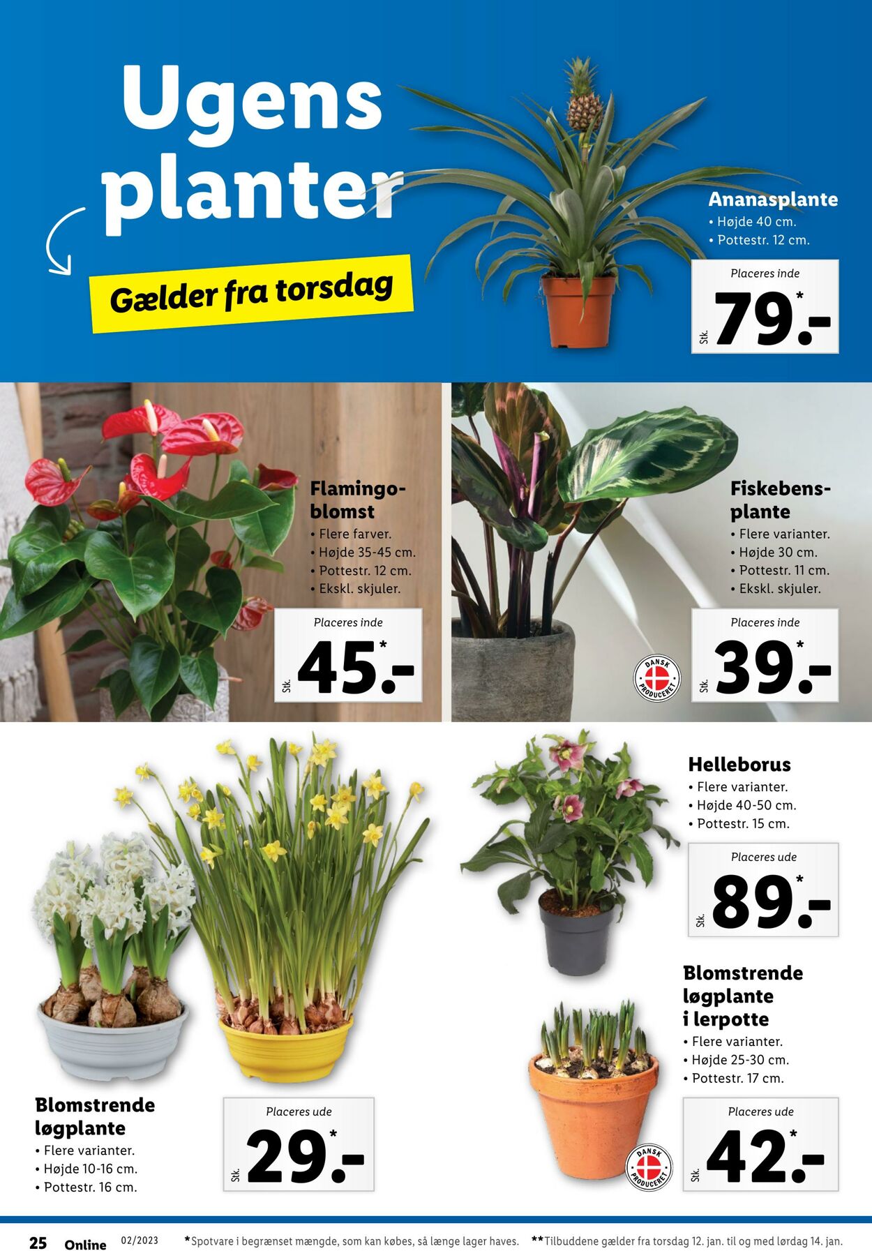 Tilbud Lidl 07.01.2023 - 14.01.2023