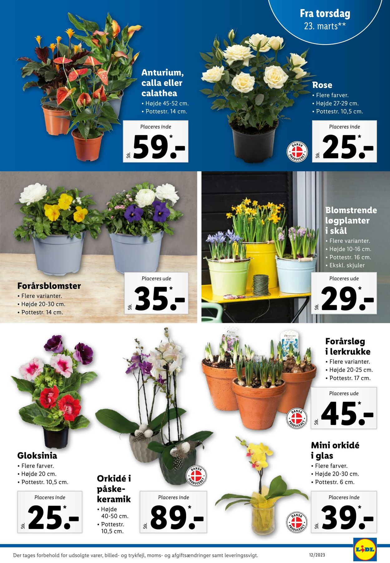 Tilbud Lidl 19.03.2023 - 25.03.2023