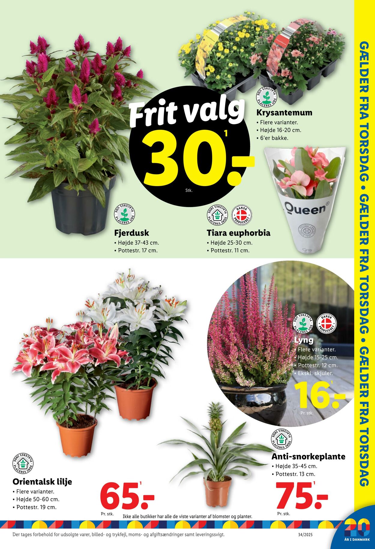 Tilbud Lidl 16.08.2025 - 23.08.2025
