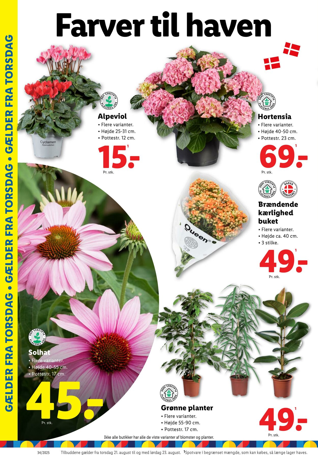 Tilbud Lidl 16.08.2025 - 23.08.2025