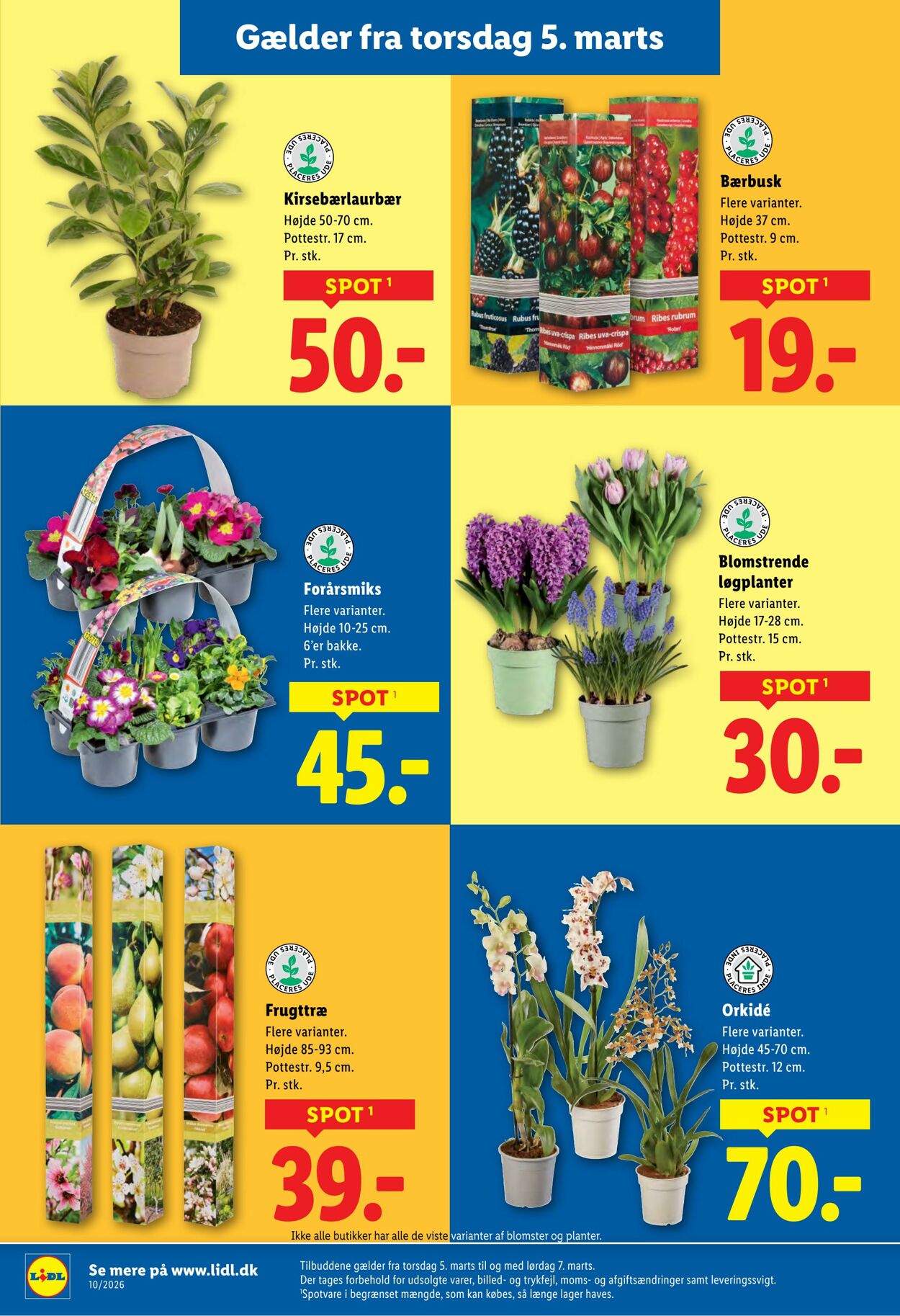 Tilbud Lidl 28.02.2026 - 07.03.2026