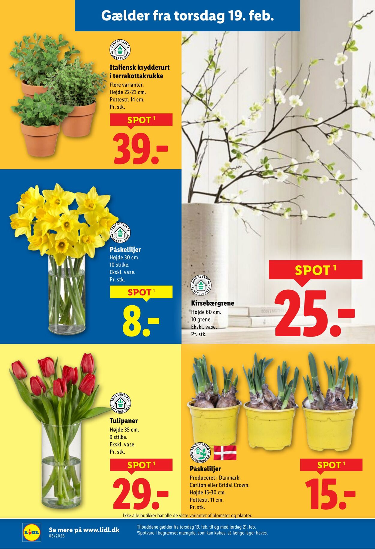 Tilbud Lidl 14.02.2026 - 21.02.2026