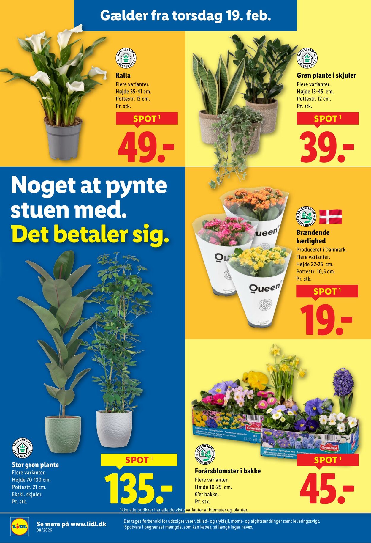 Tilbud Lidl 14.02.2026 - 21.02.2026