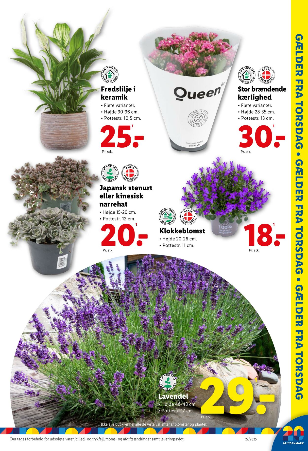 Tilbud Lidl 28.06.2025 - 05.07.2025