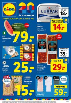 Tilbud Lidl 28.06.2025 - 05.07.2025