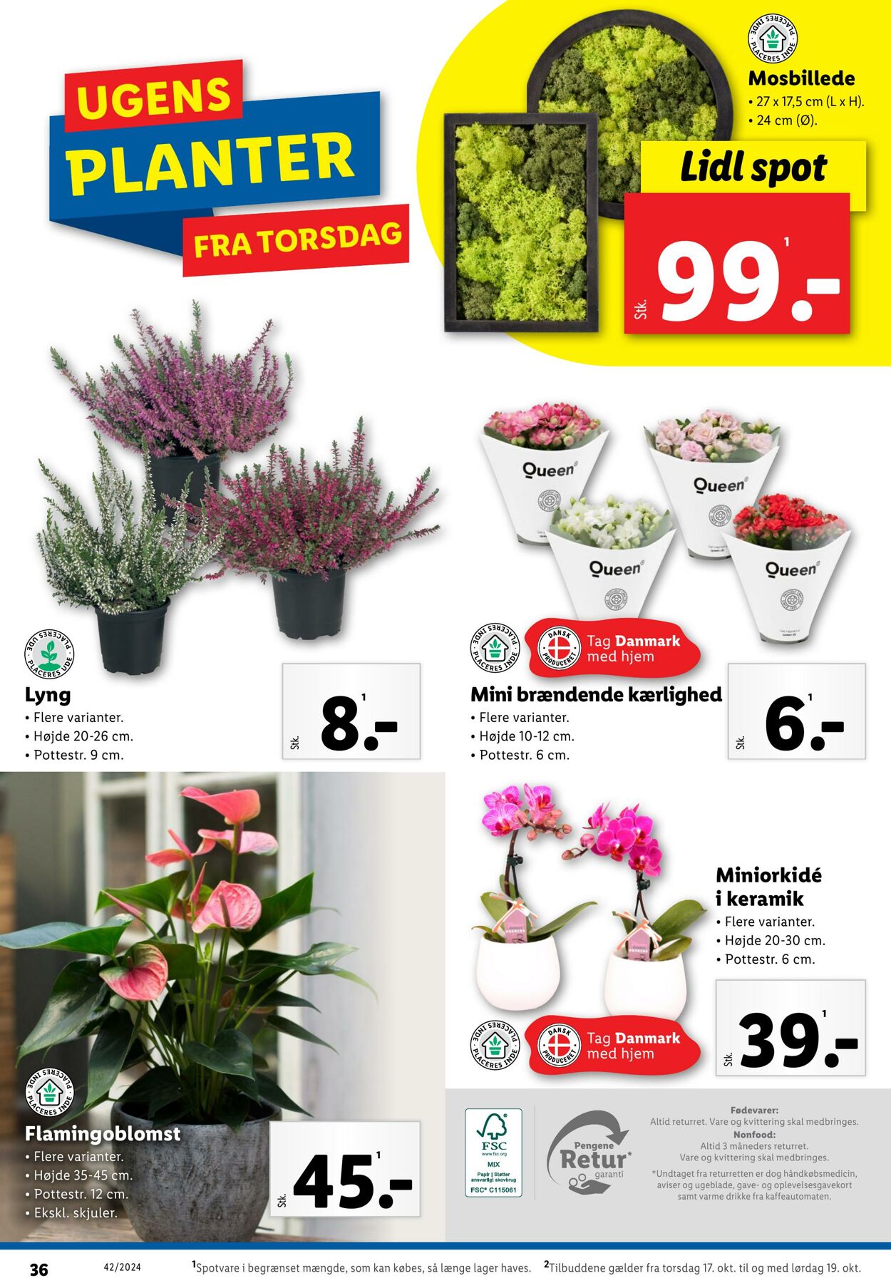 Tilbud Lidl 12.10.2024 - 19.10.2024