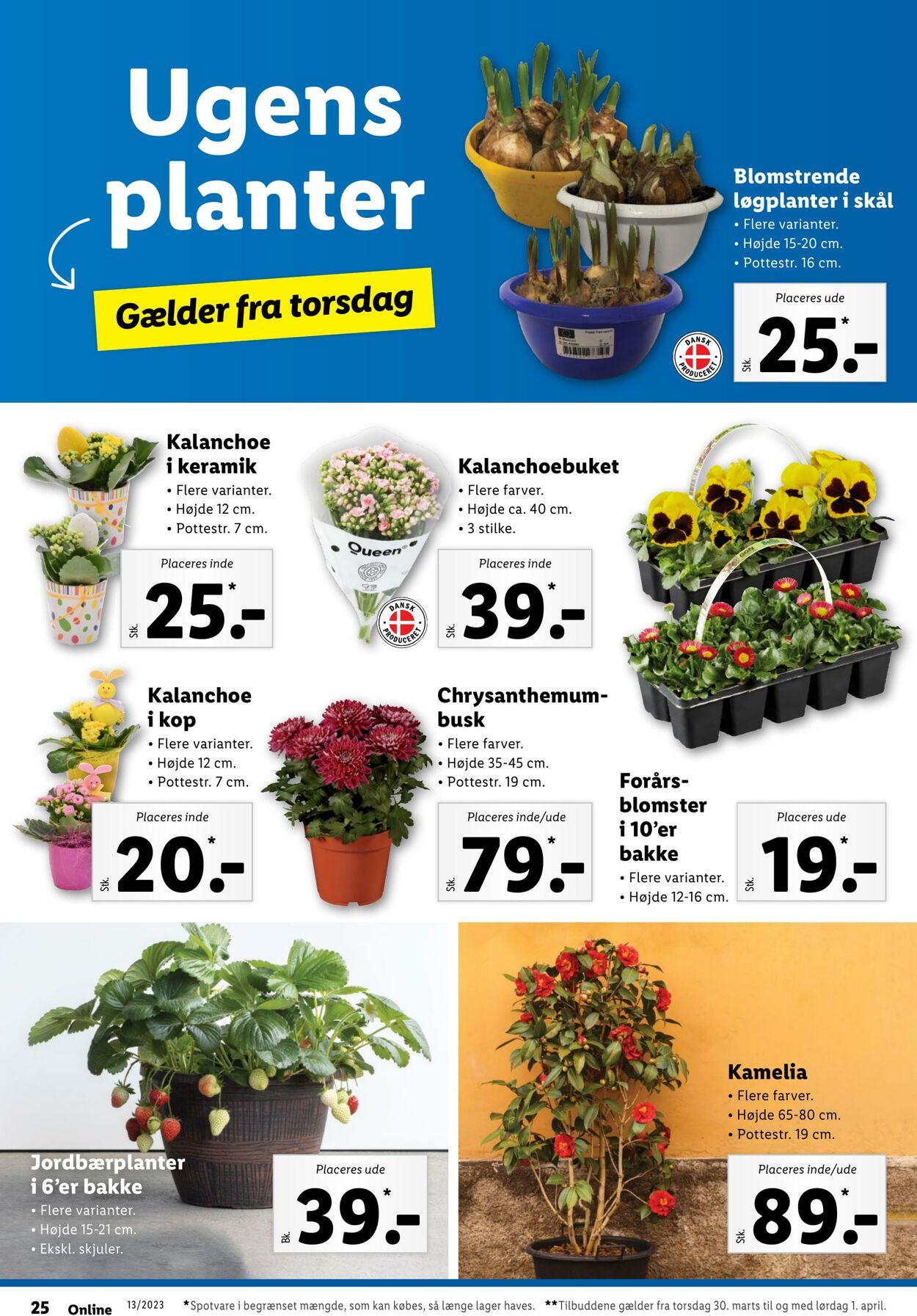 Tilbud Lidl 26.03.2023 - 01.04.2023