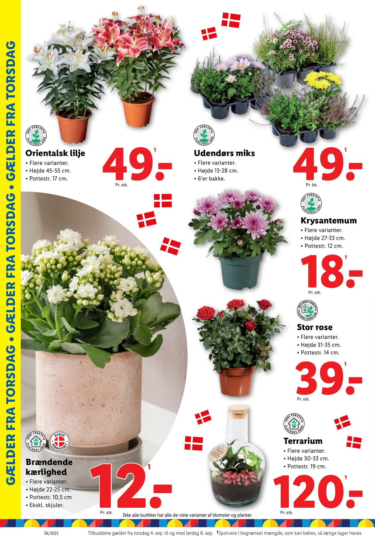 Tilbud Lidl 30.08.2025 - 06.09.2025