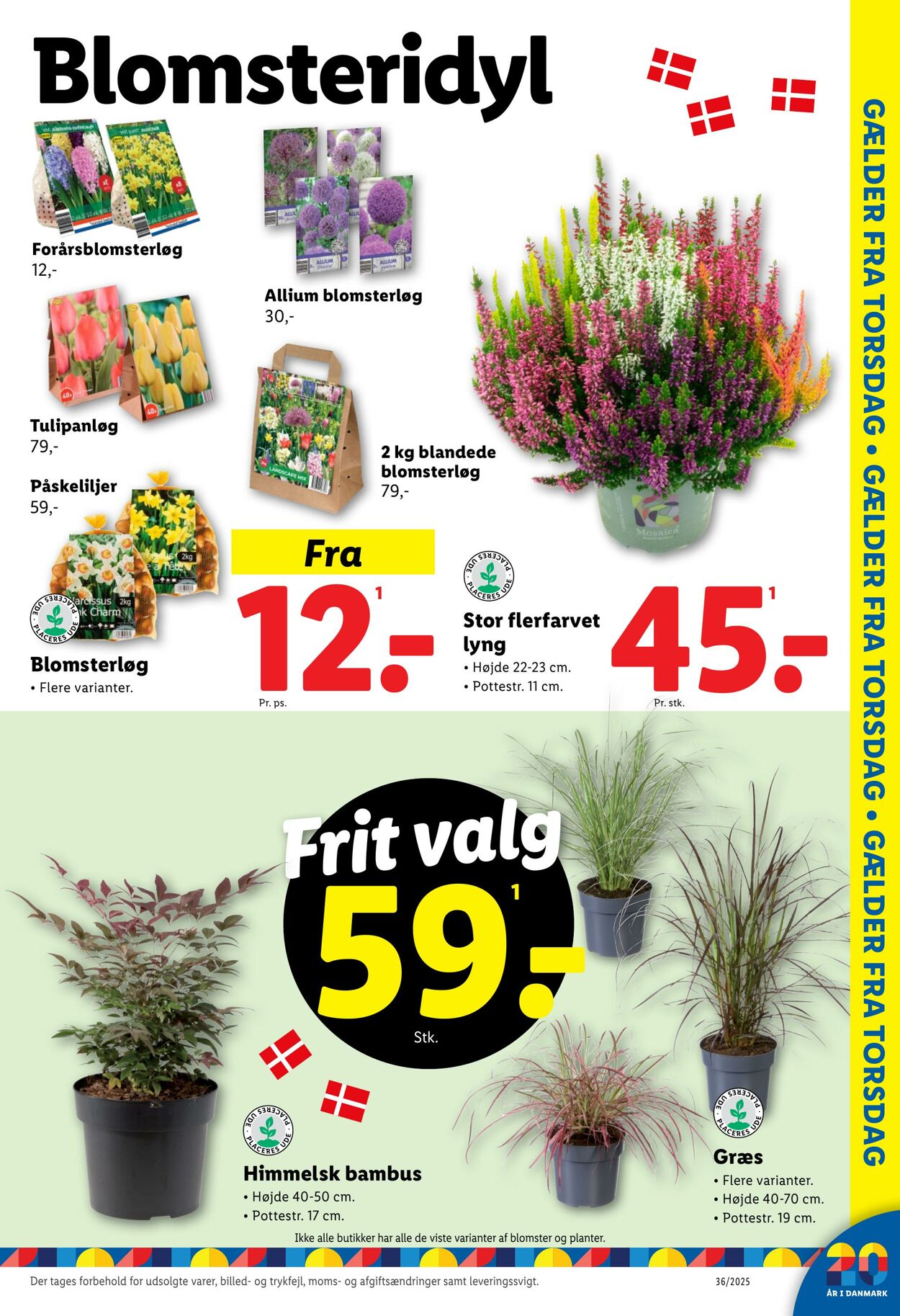 Tilbud Lidl 30.08.2025 - 06.09.2025