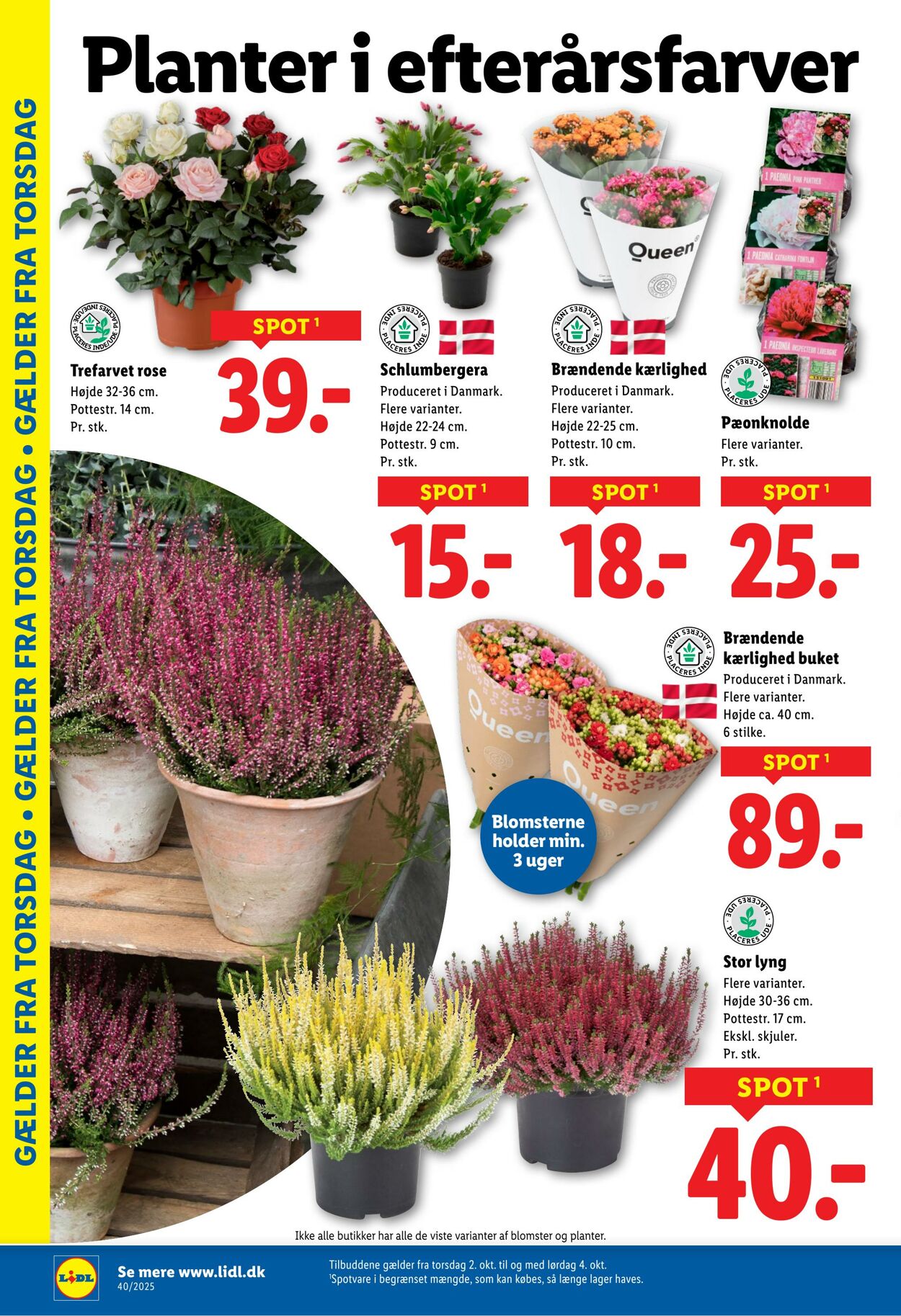 Tilbud Lidl 27.09.2025 - 04.10.2025