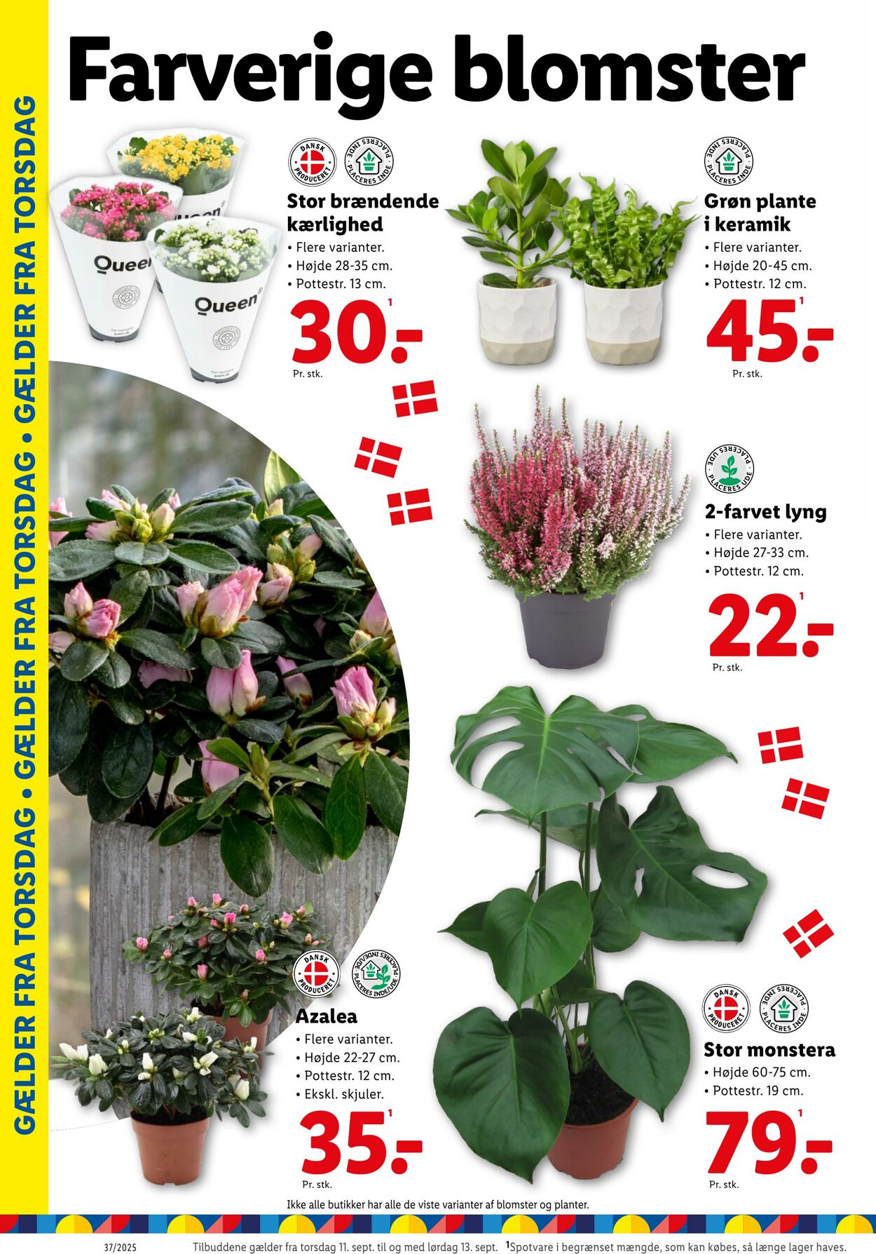 Tilbud Lidl 06.09.2025 - 13.09.2025