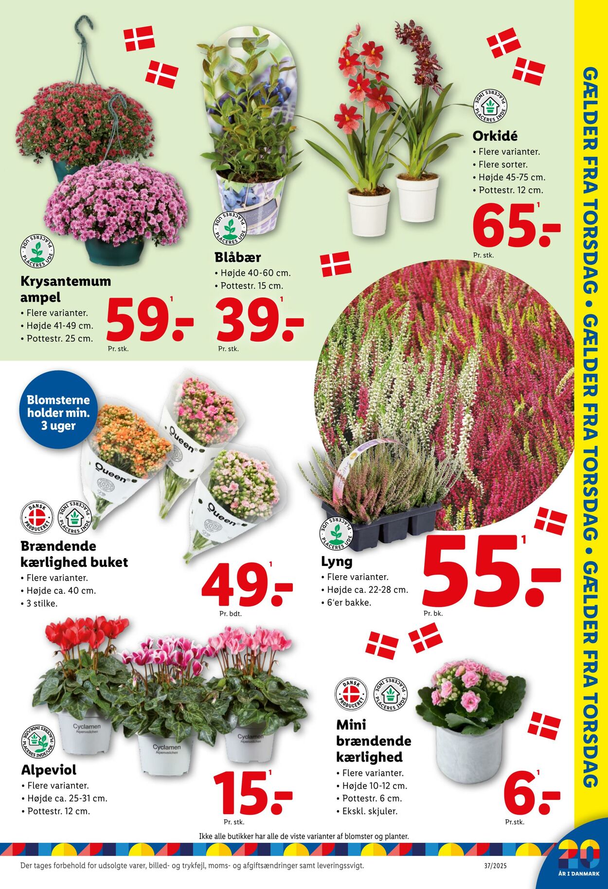 Tilbud Lidl 06.09.2025 - 13.09.2025