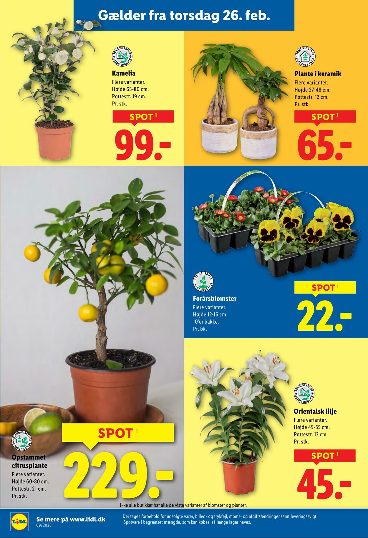 Tilbud Lidl 21.02.2026 - 28.02.2026