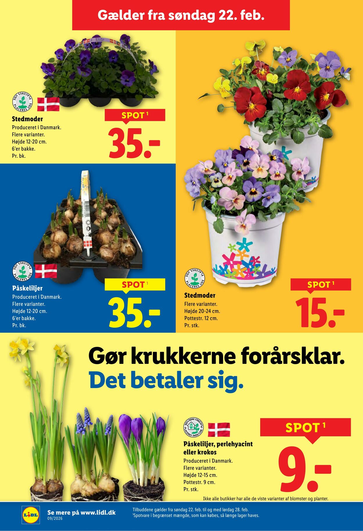 Tilbud Lidl 21.02.2026 - 28.02.2026