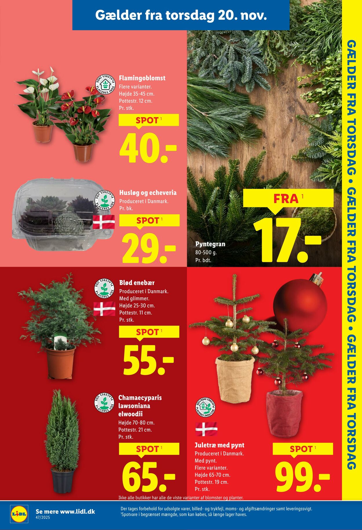 Tilbud Lidl 15.11.2025 - 22.11.2025
