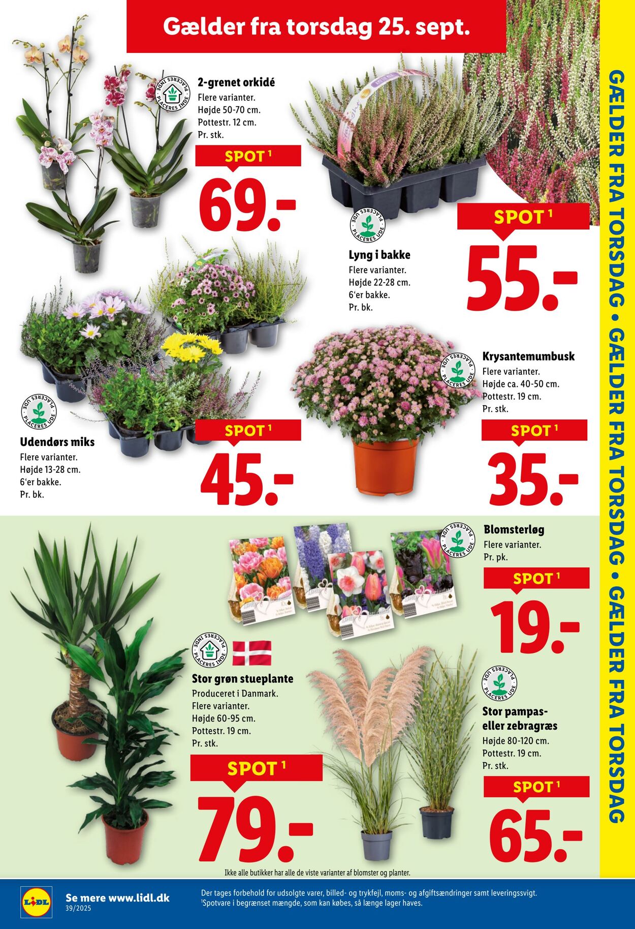 Tilbud Lidl 20.09.2025 - 27.09.2025