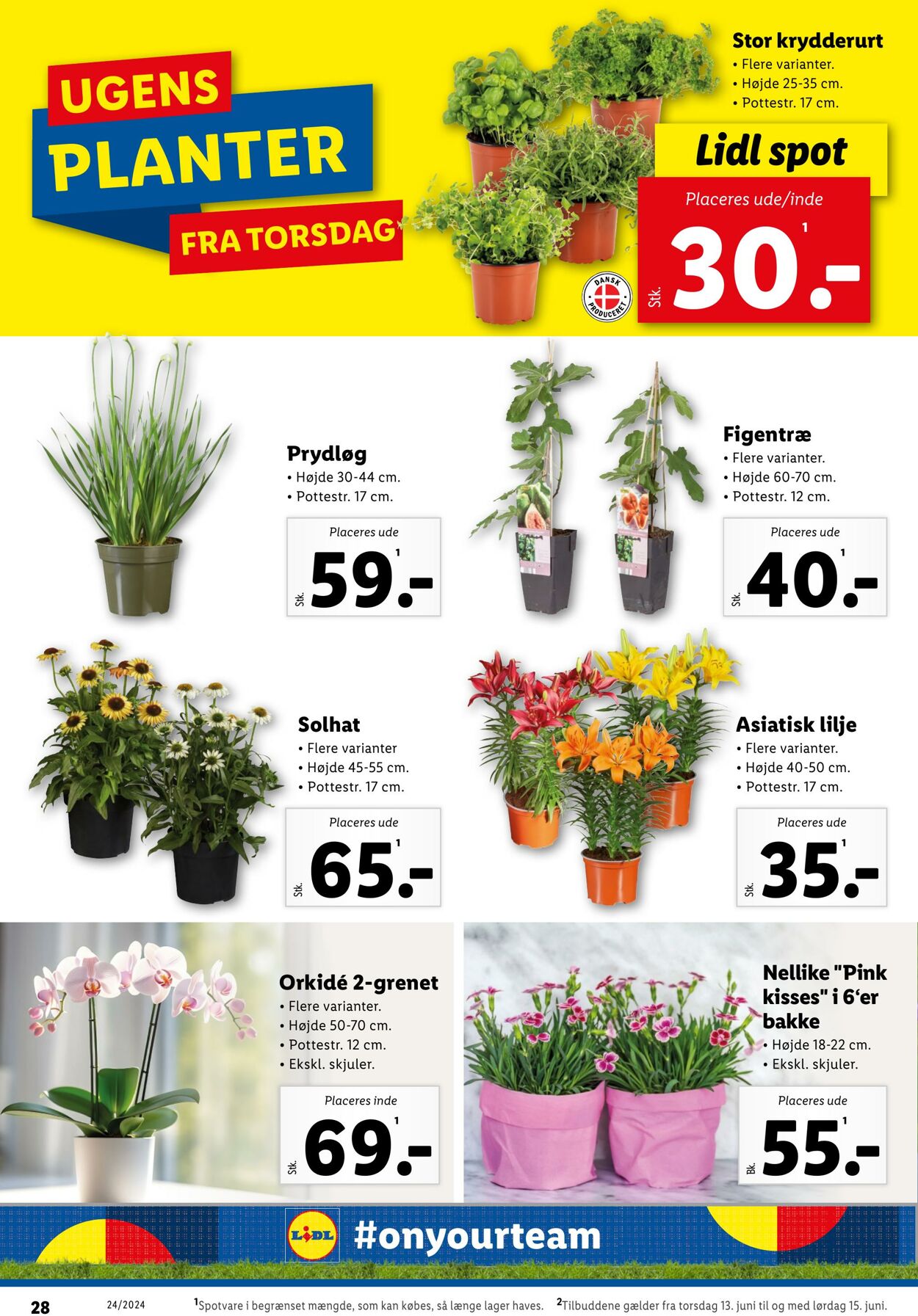 Tilbud Lidl 08.06.2024 - 15.06.2024