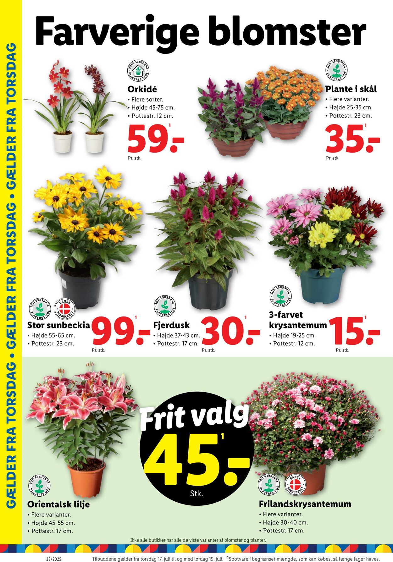 Tilbud Lidl 12.07.2025 - 19.07.2025