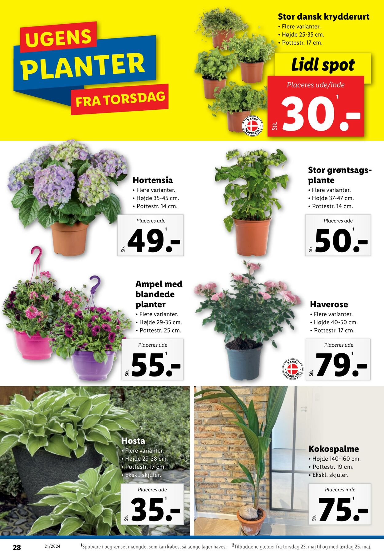 Tilbud Lidl 18.05.2024 - 25.05.2024