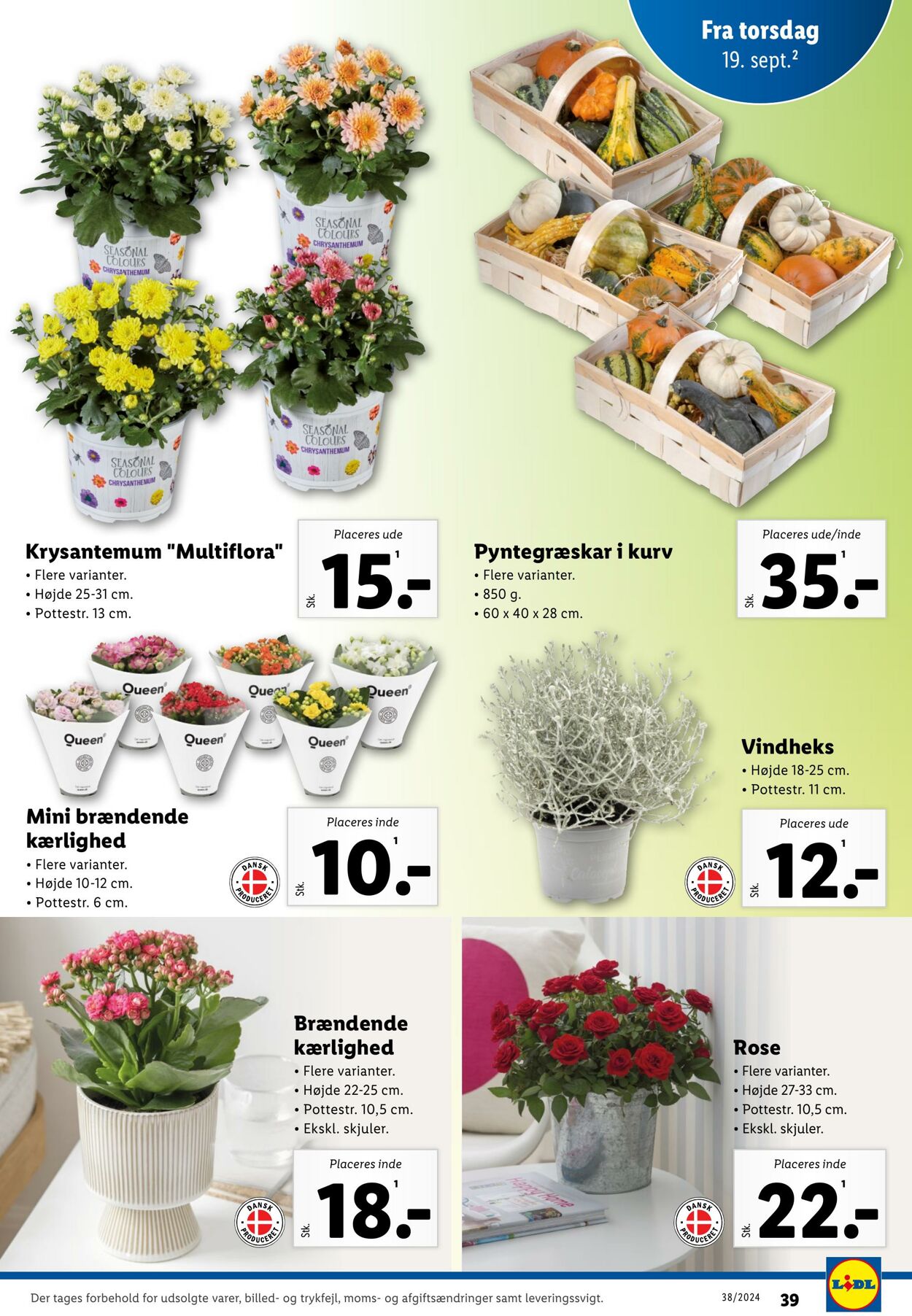 Tilbud Lidl 14.09.2024 - 21.09.2024