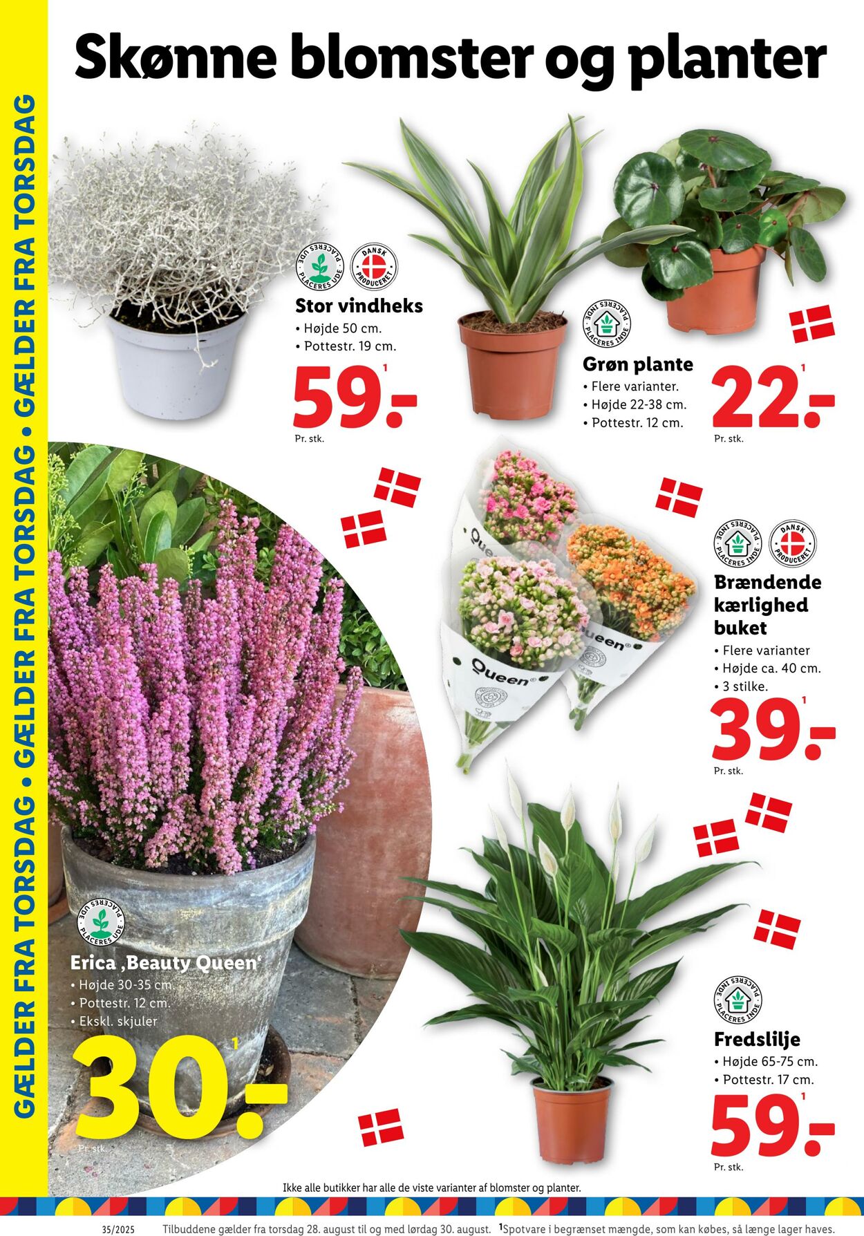 Tilbud Lidl 23.08.2025 - 30.08.2025