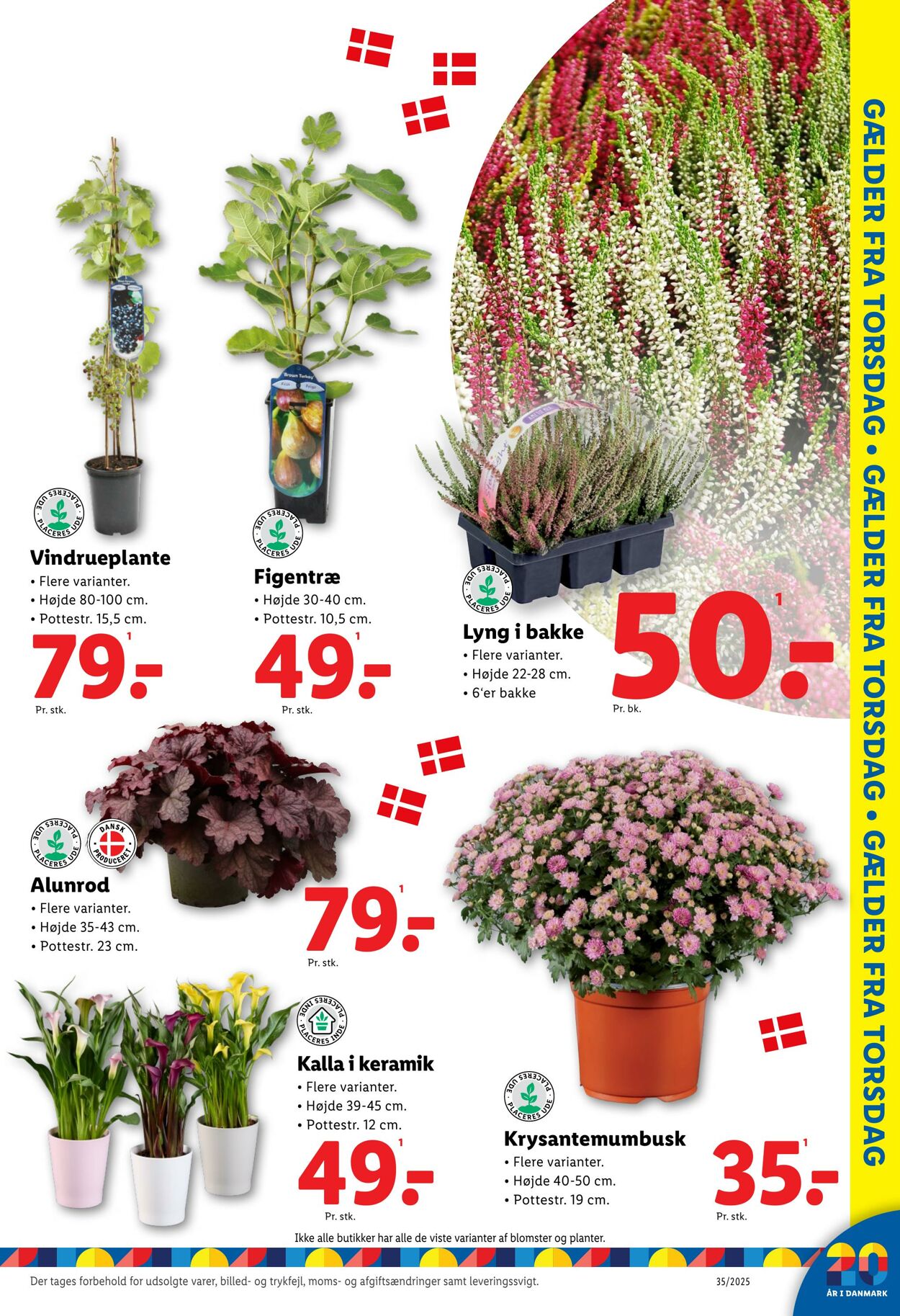 Tilbud Lidl 23.08.2025 - 30.08.2025
