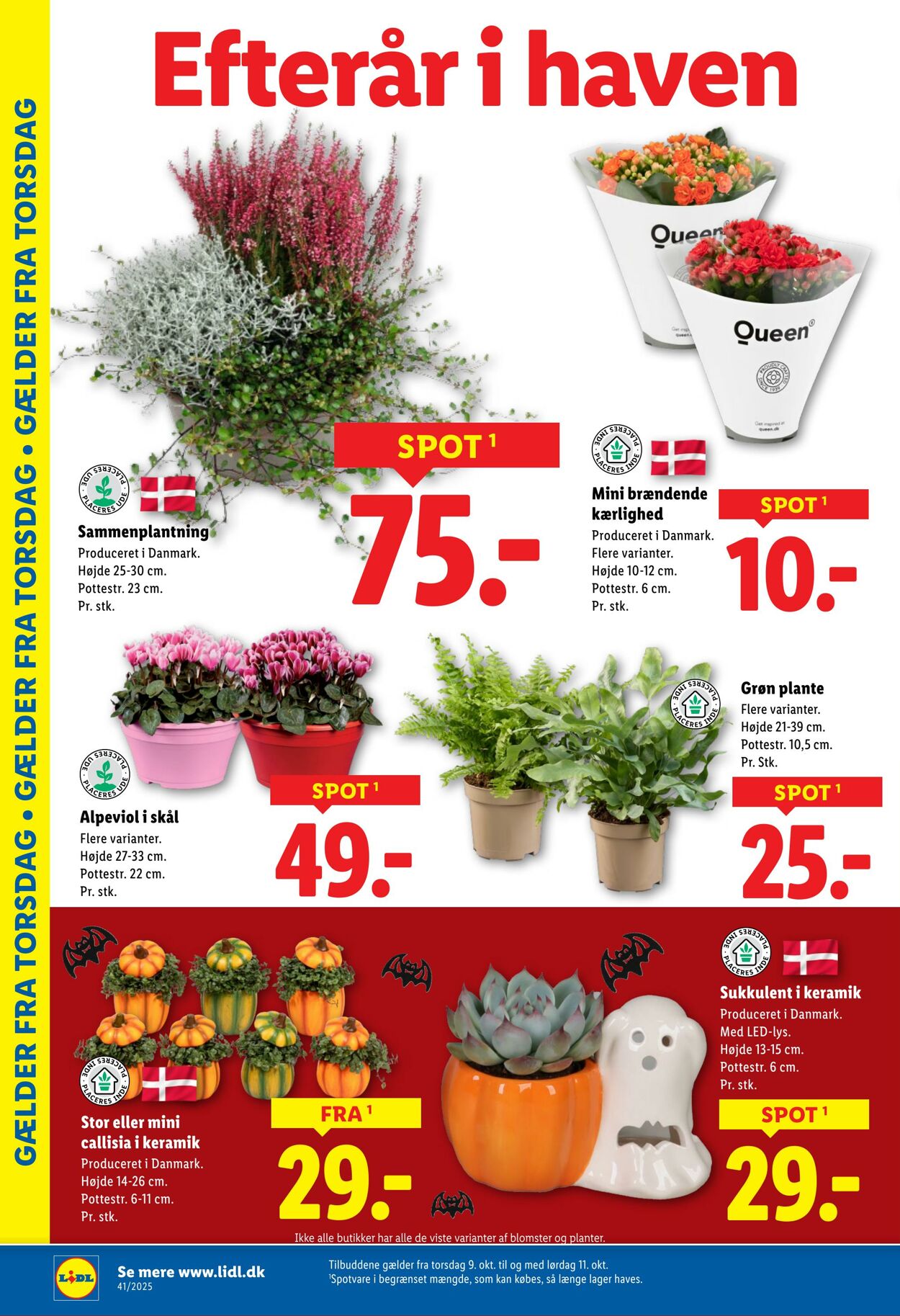 Tilbud Lidl 04.10.2025 - 11.10.2025
