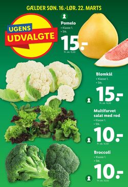 Tilbud Lidl 19.03.2025 - 22.03.2025