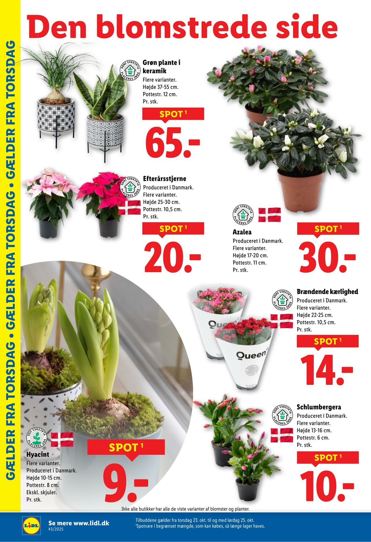 Tilbud Lidl 18.10.2025 - 25.10.2025