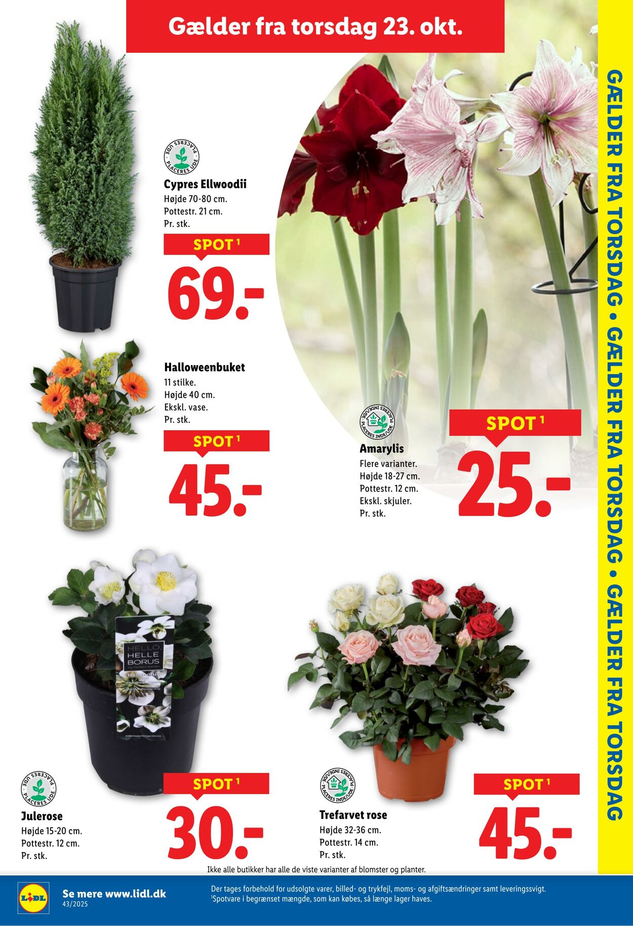 Tilbud Lidl 18.10.2025 - 25.10.2025