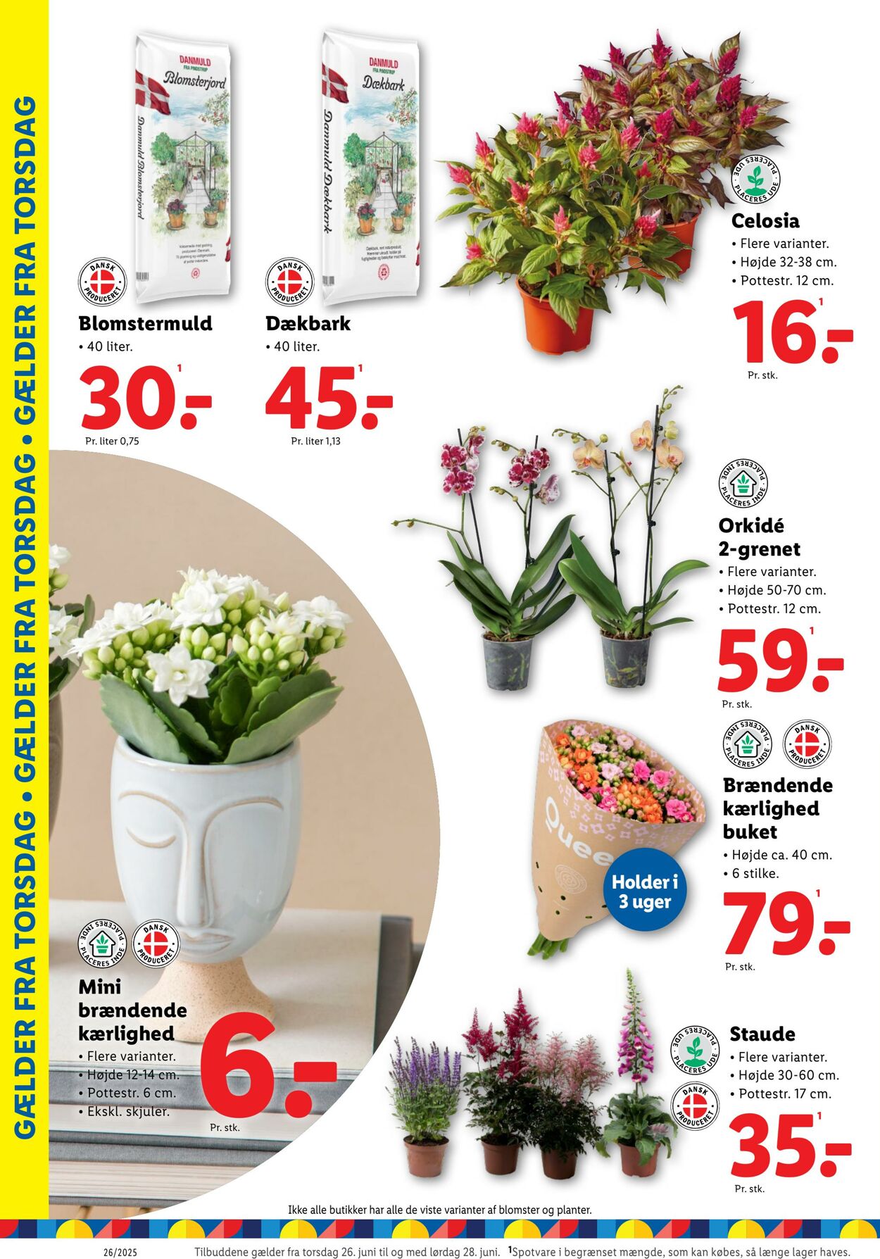 Tilbud Lidl 21.06.2025 - 28.06.2025
