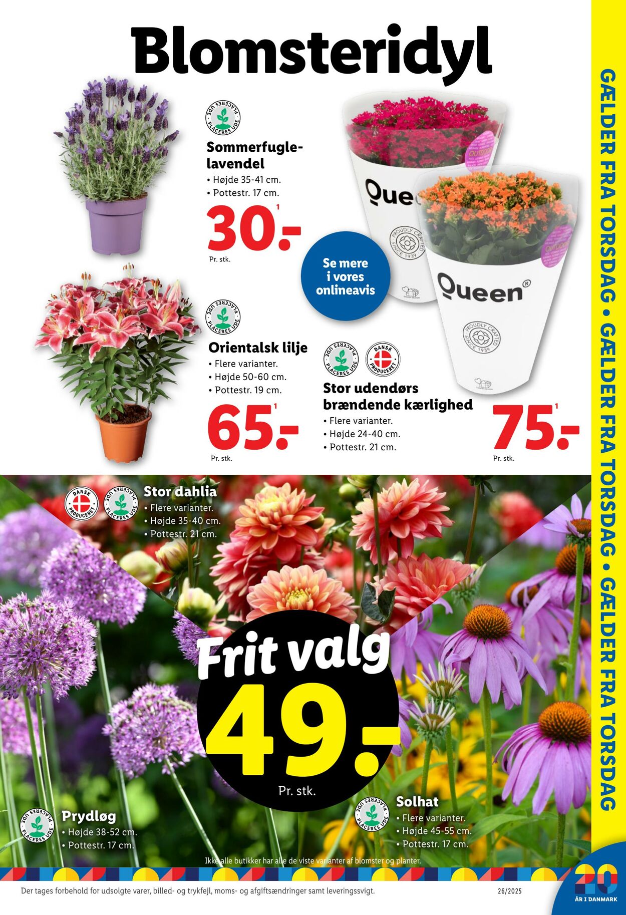 Tilbud Lidl 21.06.2025 - 28.06.2025
