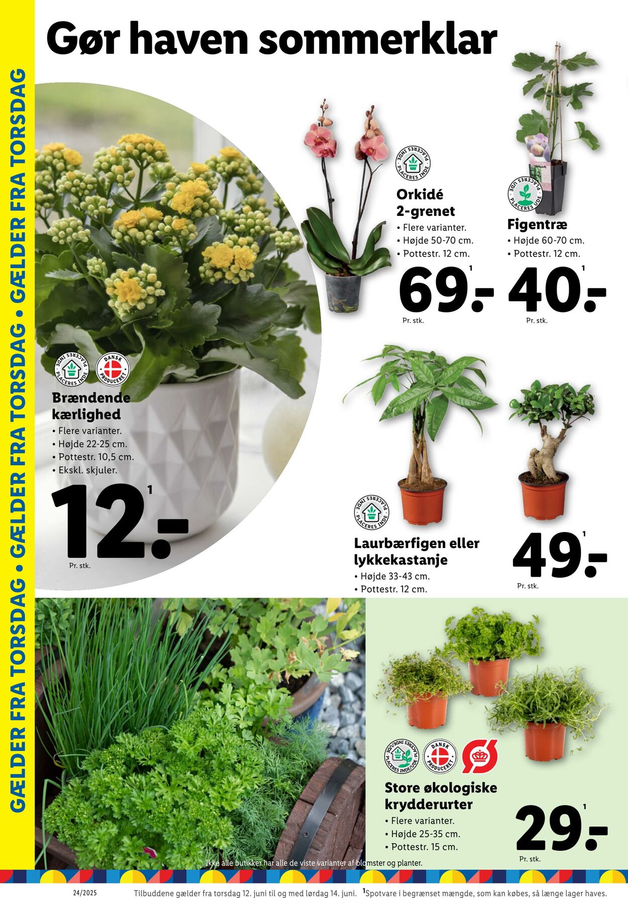 Tilbud Lidl 07.06.2025 - 14.06.2025