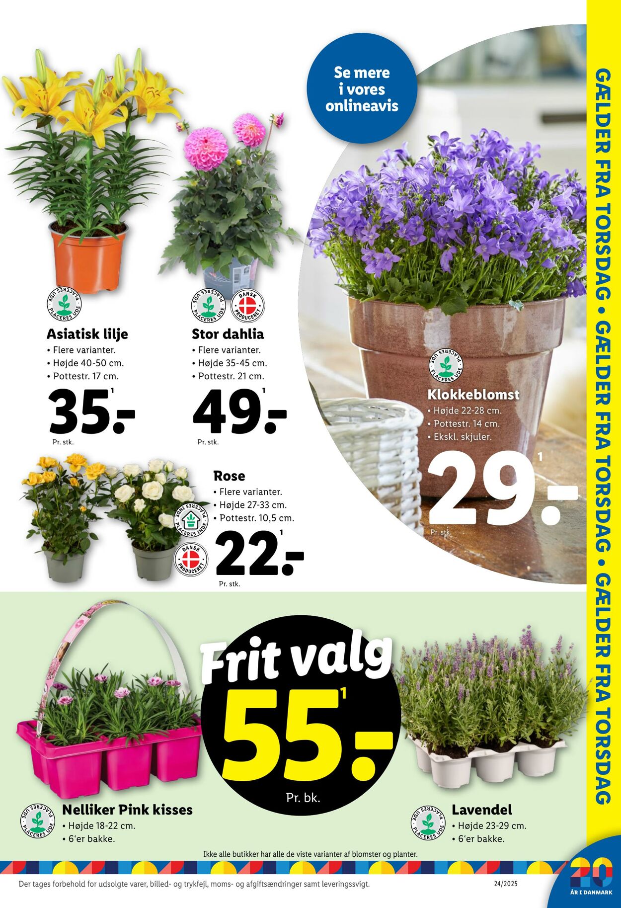 Tilbud Lidl 07.06.2025 - 14.06.2025