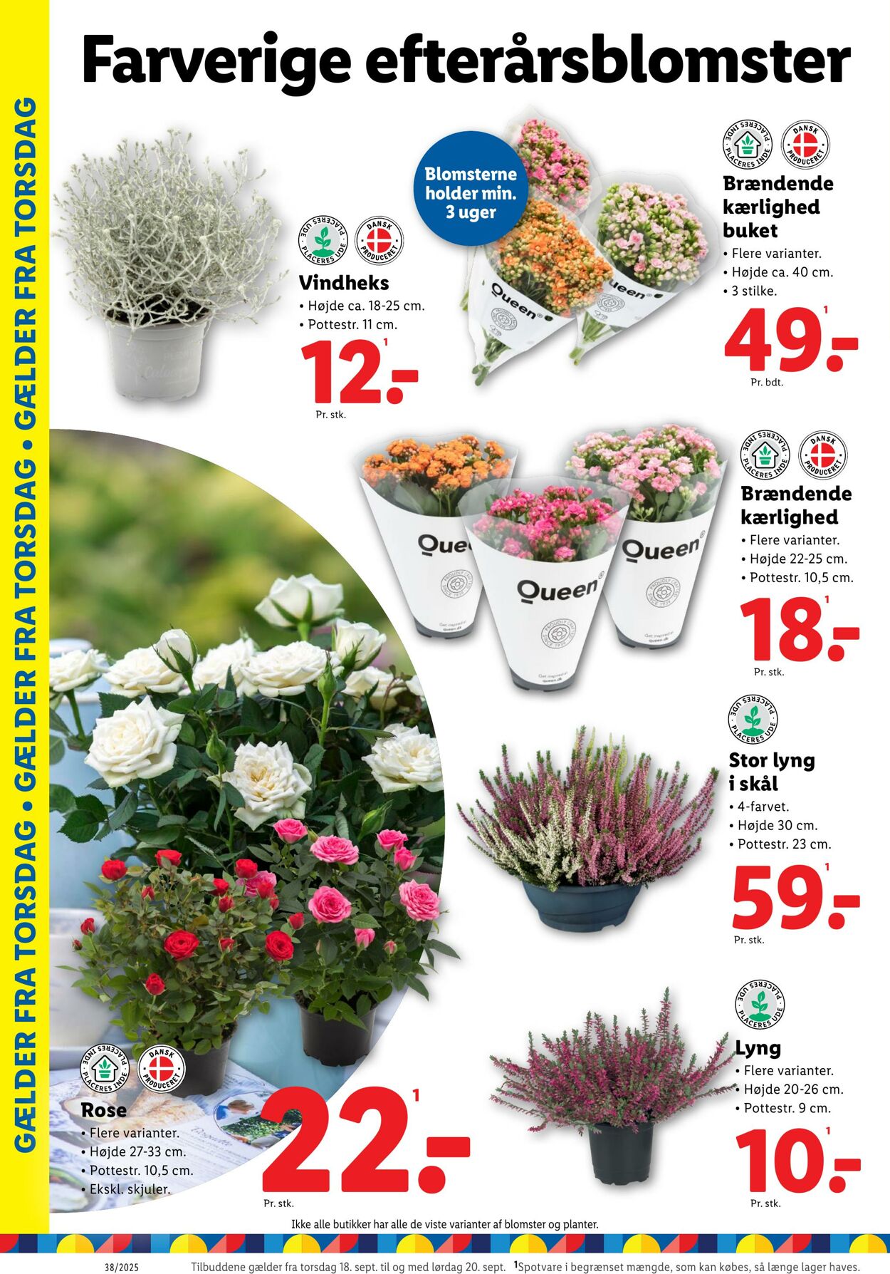 Tilbud Lidl 13.09.2025 - 20.09.2025