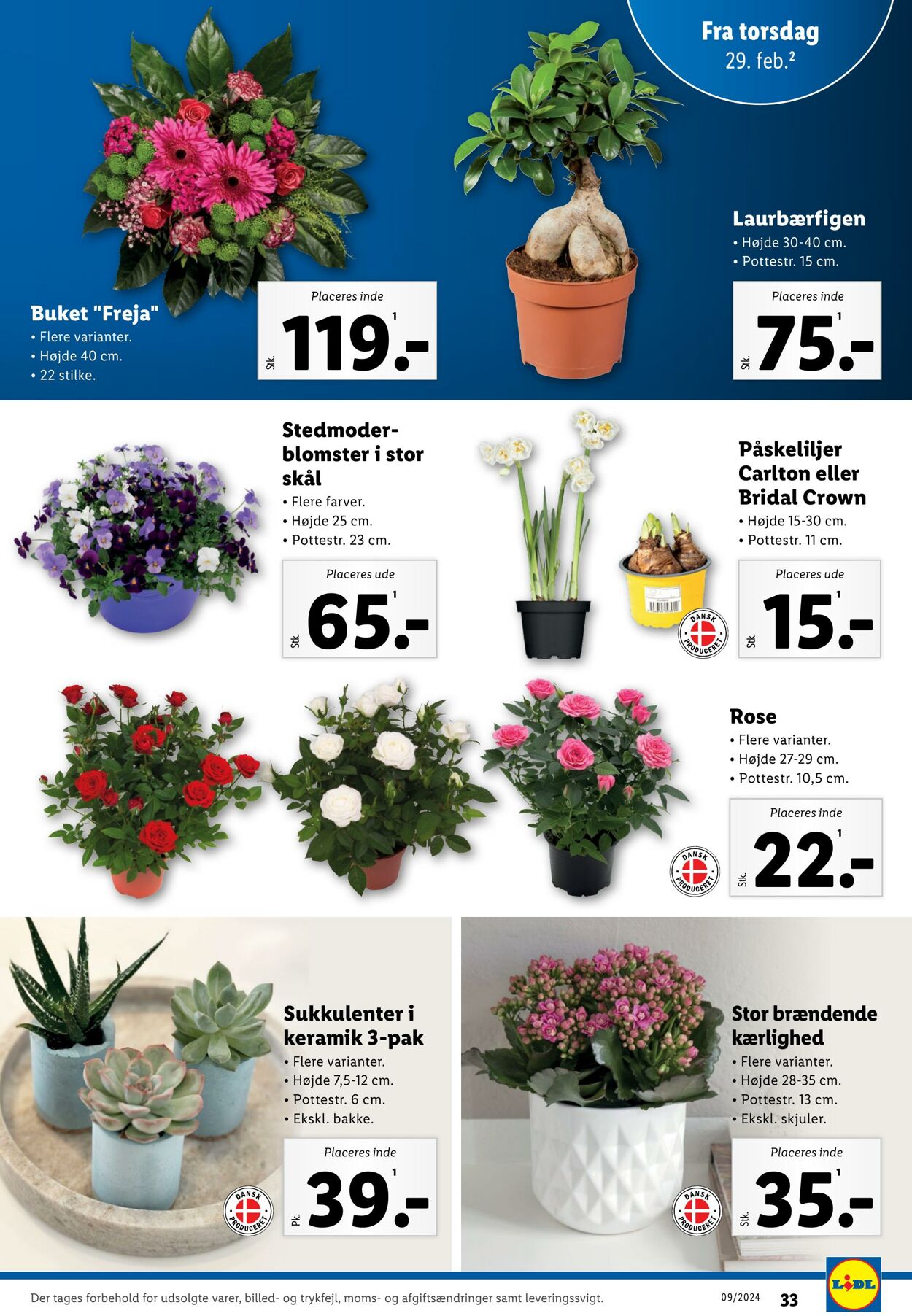 Tilbud Lidl 24.02.2024 - 02.03.2024