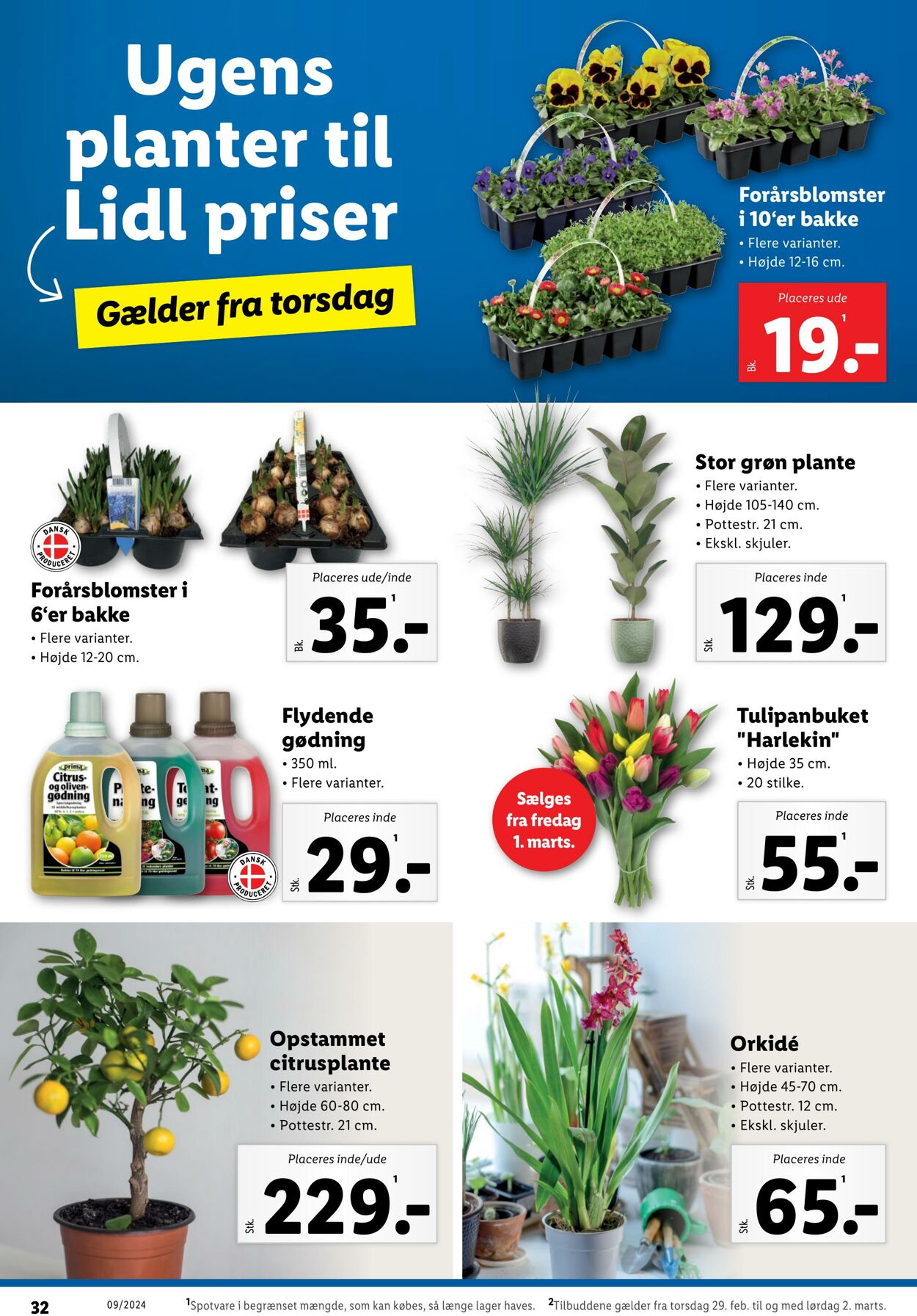 Tilbud Lidl 24.02.2024 - 02.03.2024