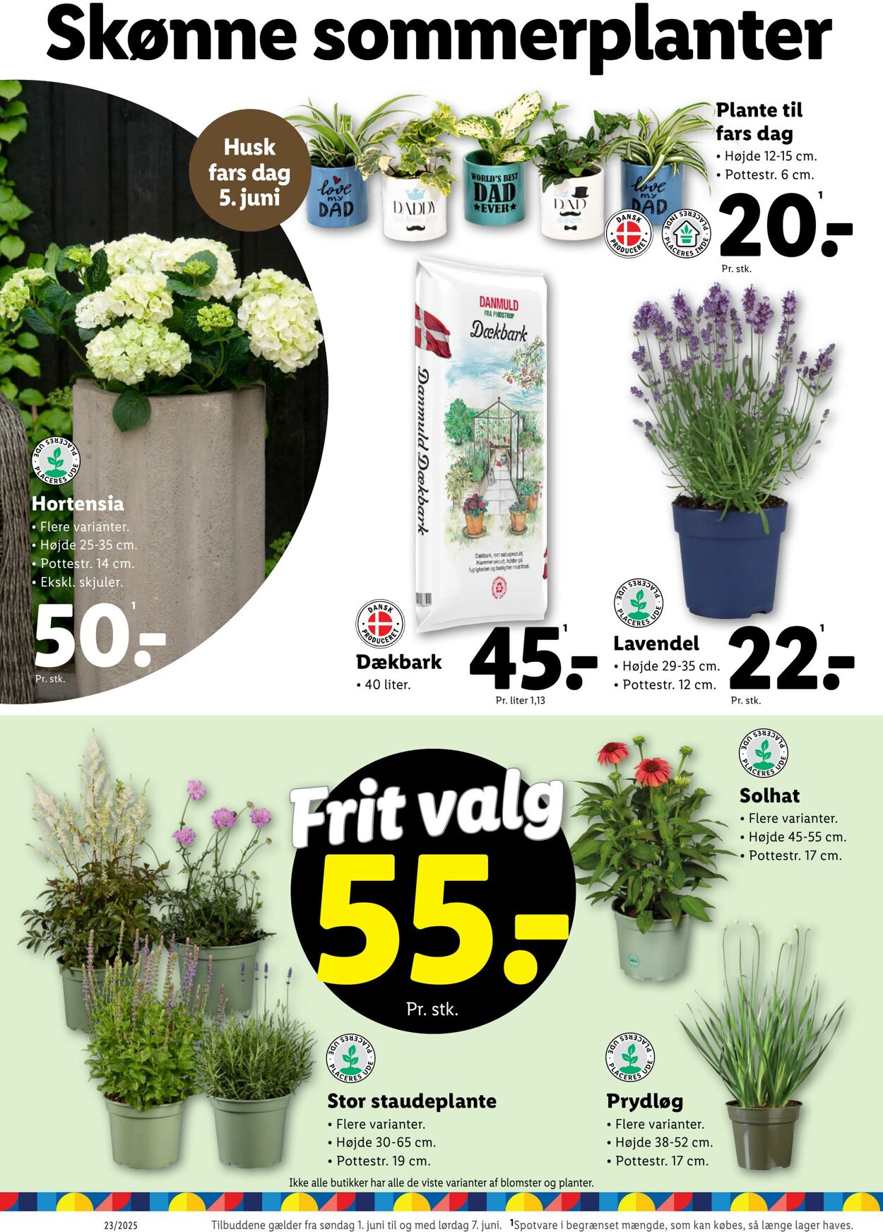 Tilbud Lidl 31.05.2025 - 07.06.2025