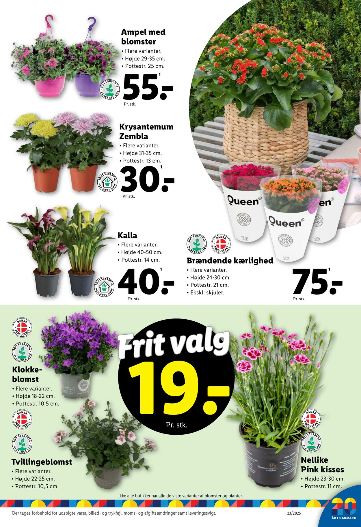 Tilbud Lidl 31.05.2025 - 07.06.2025