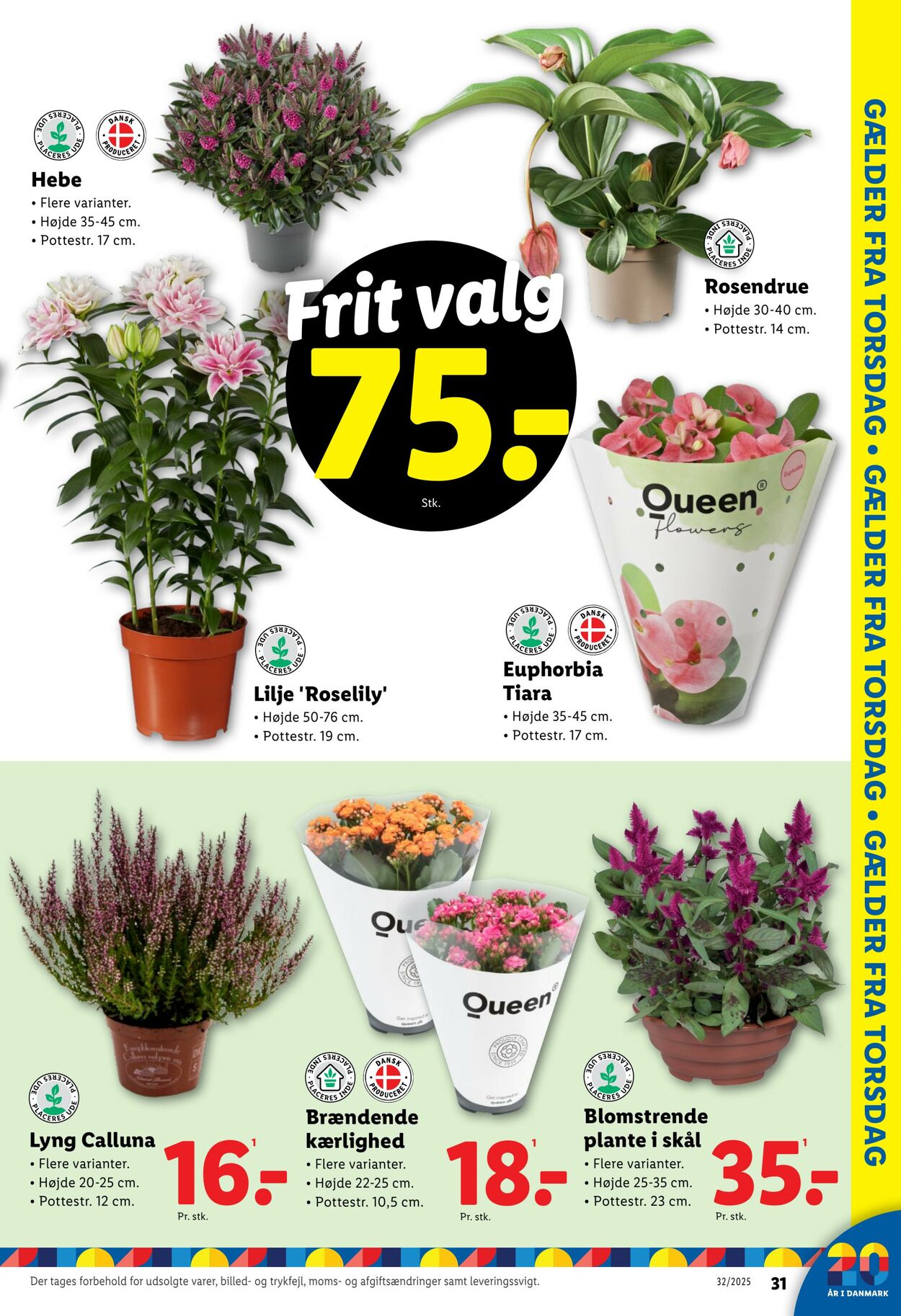 Tilbud Lidl 02.08.2025 - 09.08.2025