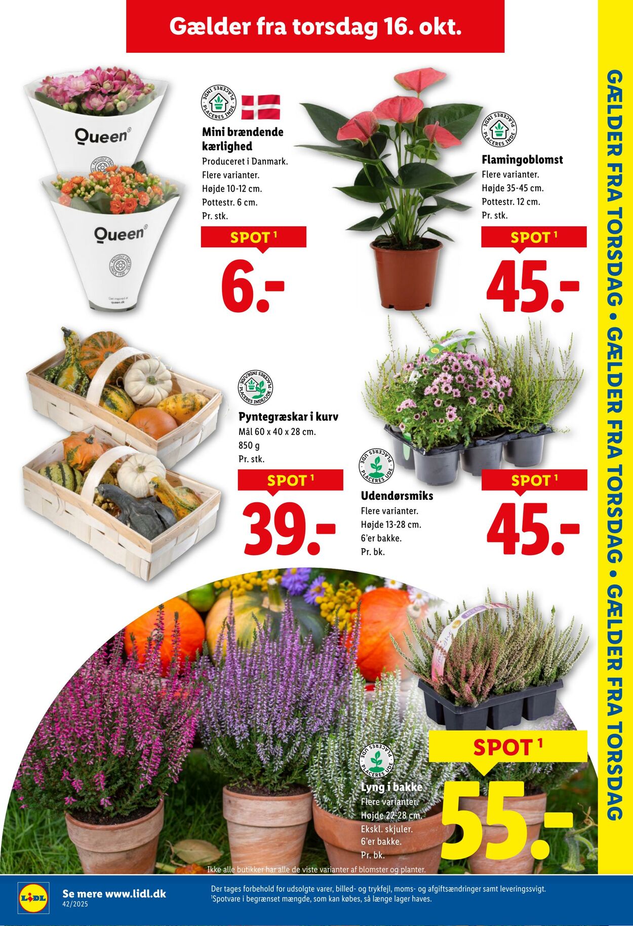Tilbud Lidl 11.10.2025 - 18.10.2025